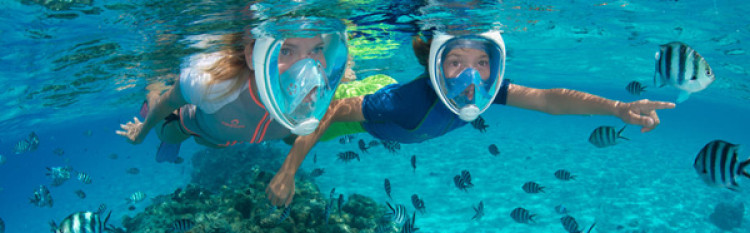 Маска полнолицевая ARIA Oceanreef